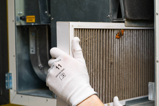 Best Professional Duct Cleaning Services  in Kalkaska, MI