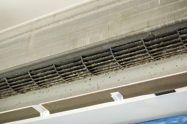 Best Affordable Air Duct Cleaning  in Kalkaska, MI
